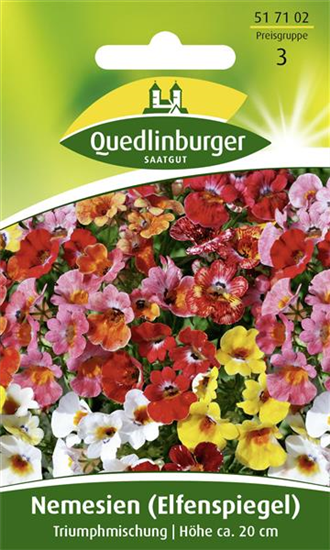 Elfenspiegelsamen 'Triumphmischung'