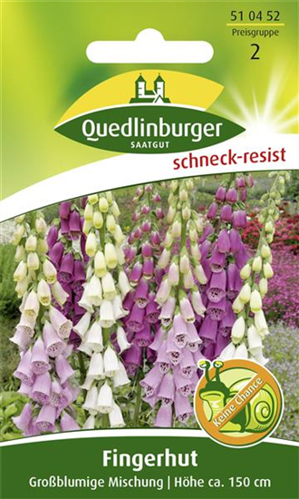 Fingerhutsamen 'Großblumige Mischung'