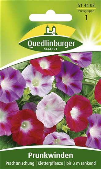 Prunkwindensamen 'Prachtmischung'