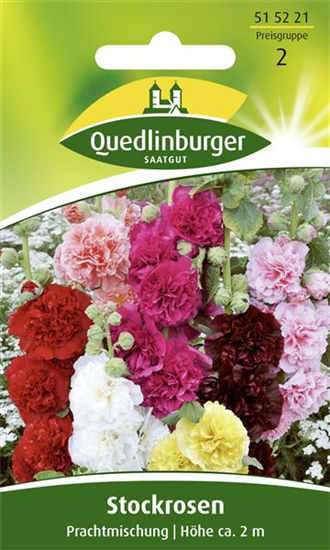 Stockrosensamen 'Prachtmischung'