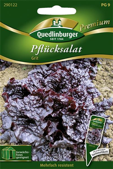 Eichblattsalatsamen 'Grit'