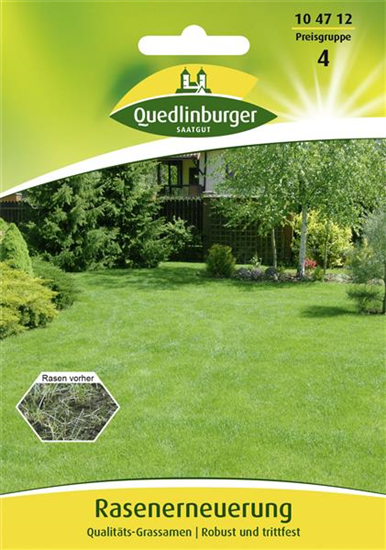 Rasenerneuerung-Samen