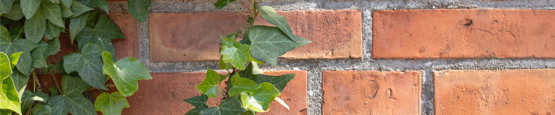 GS659428.jpg GS659428.jpg