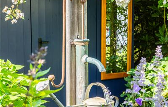So einfach kann die Gartengestaltung mit Gartenpflanzen sein So einfach kann die Gartengestaltung mit Gartenpflanzen sein