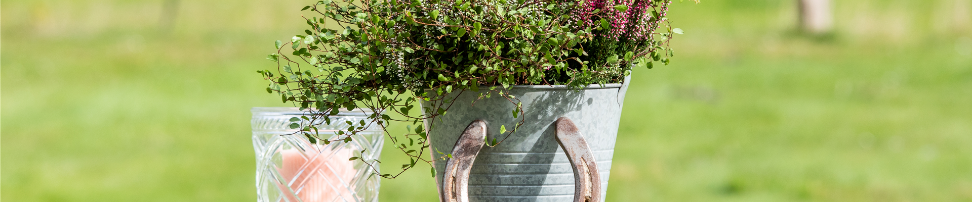 GS638071.jpg GS638071.jpg