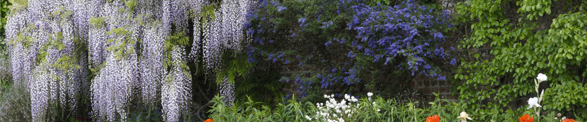 GS637067.jpg GS637067.jpg