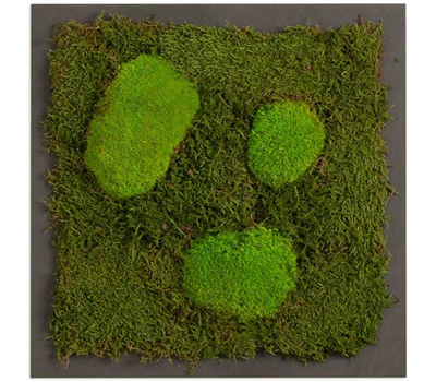 TINGO LIVING PREMIUM Moos-Bild TINGO LIVING PREMIUM Moos-Bild