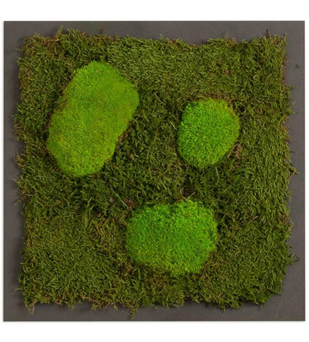 TINGO LIVING PREMIUM Moos-Bild TINGO LIVING PREMIUM Moos-Bild