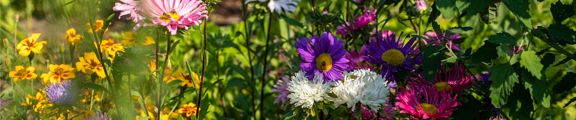 GS670969.jpg GS670969.jpg