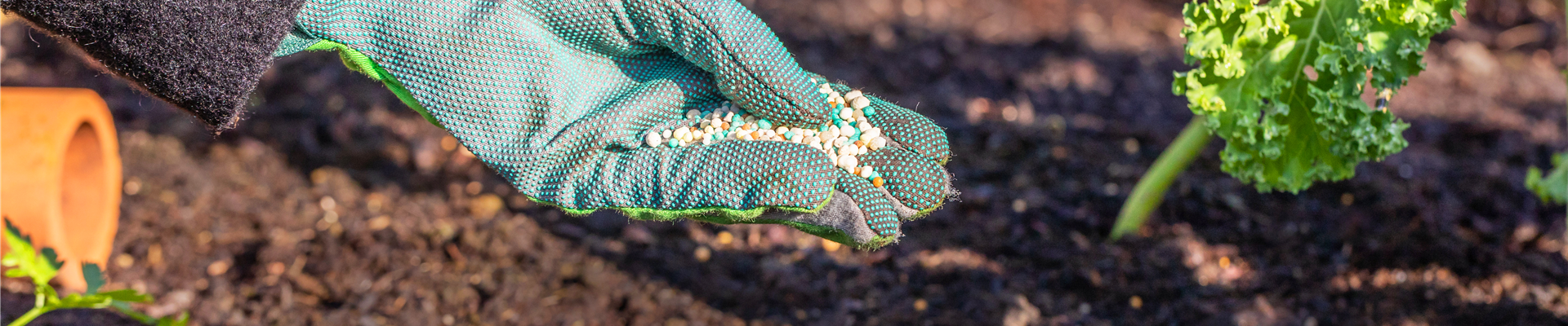 GS652743.jpg GS652743.jpg