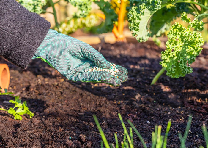 BIO Dünger BIO Dünger