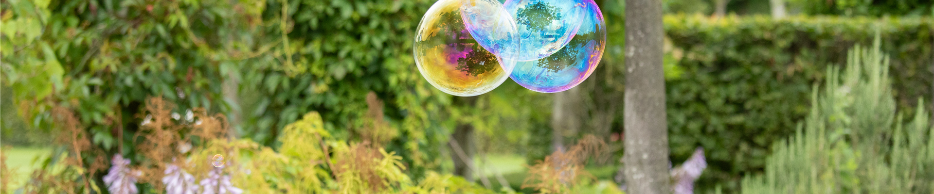 GS669452.jpg GS669452.jpg