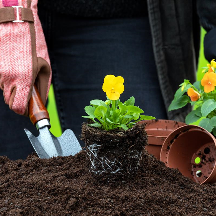 Service & Leistungen Service & Leistungen