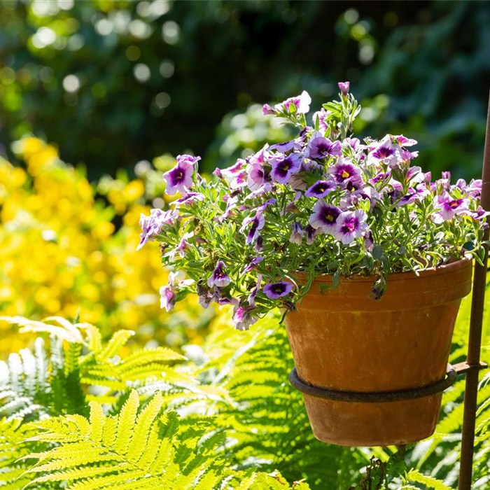 News & Veranstaltungen News & Veranstaltungen