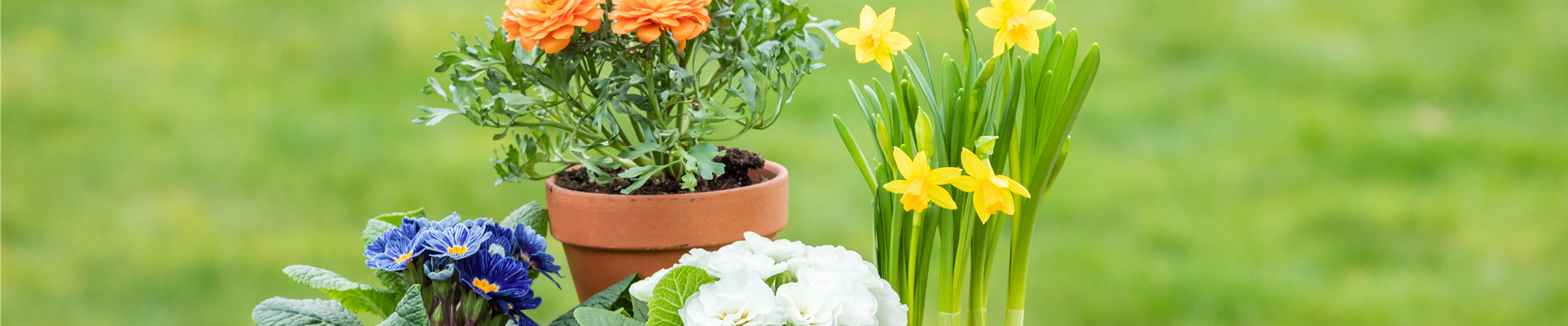 GS703765.jpg GS703765.jpg