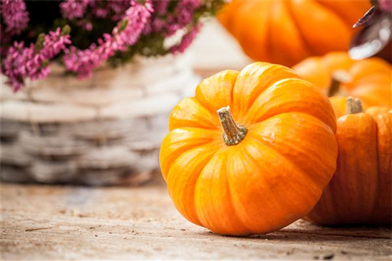 Der Nutzgarten: Selbstbedienung im eigenen Beet Der Nutzgarten: Selbstbedienung im eigenen Beet
