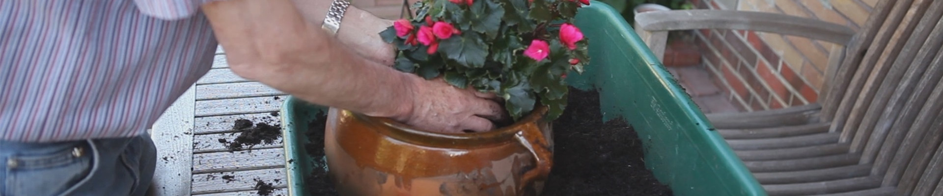 Blumenkübel - Bepflanzen mit mehreren Sommerblumen.jpg