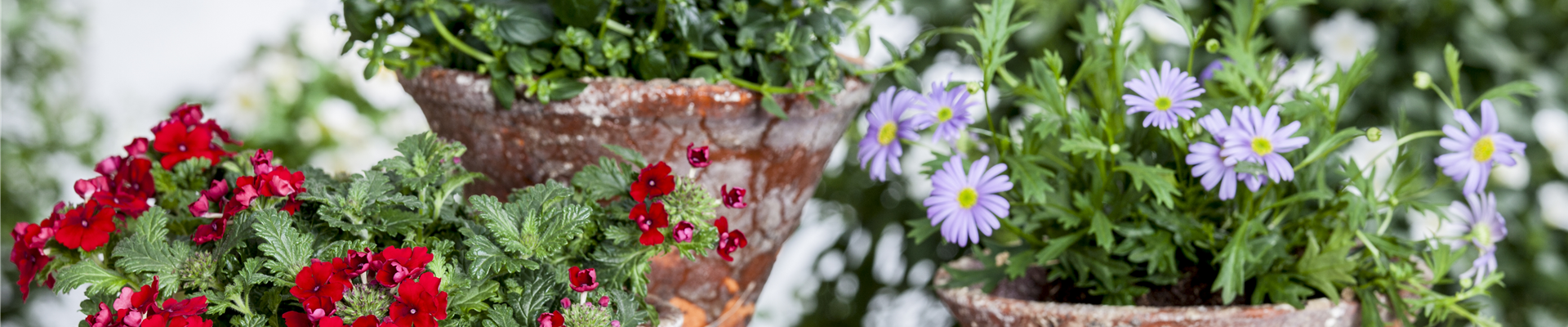 GS477997.jpg GS477997.jpg