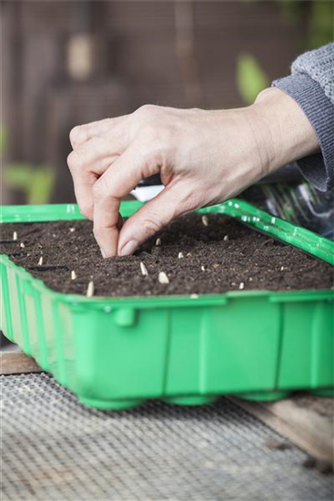 Minigewächshauser herstellen Minigewächshauser herstellen