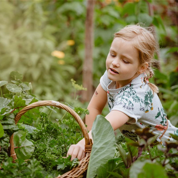 Jetzt kann geerntet werden! Kinder spielerisch einbeziehen