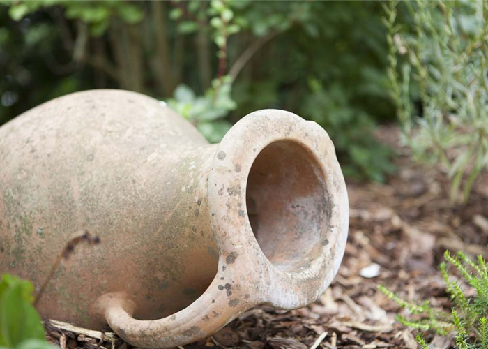 Möchten Sie Ihren Garten umstylen? So geht es ganz schnell 