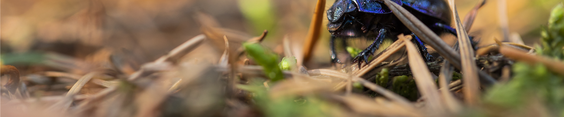 GS593424.jpg GS593424.jpg