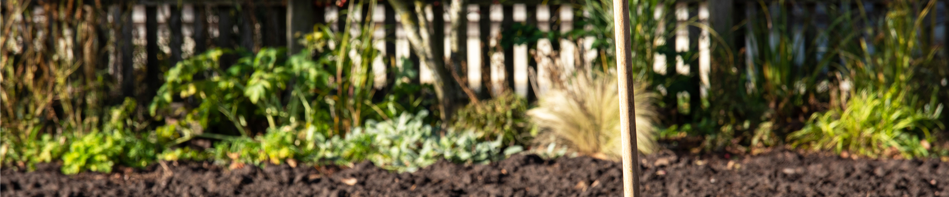 GS657088.jpg GS657088.jpg