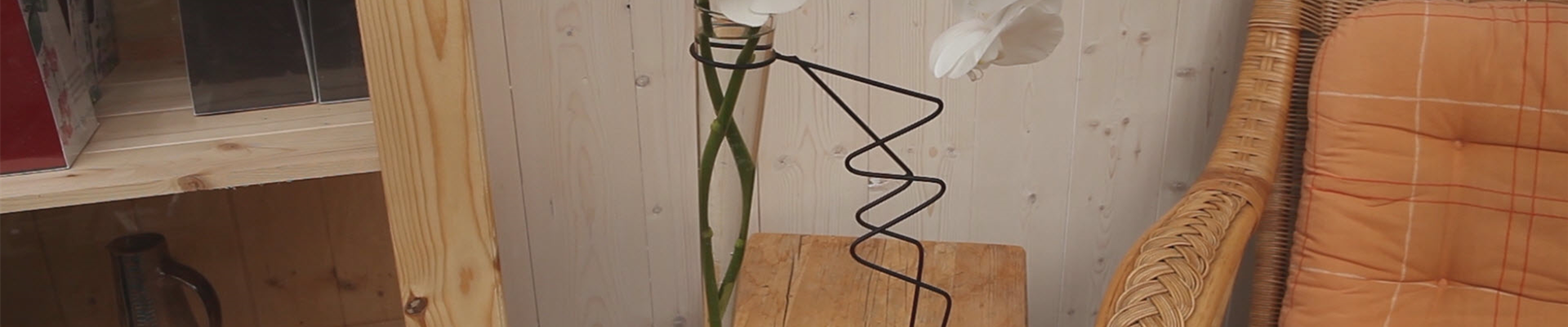 Orchidee - Anschneiden für den Heimgebrauch (thumbnail).jpg