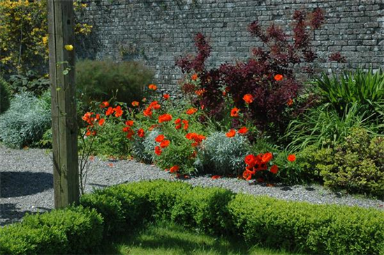 Stauden – pflanzen, pflegen, lieben Stauden – pflanzen, pflegen, lieben