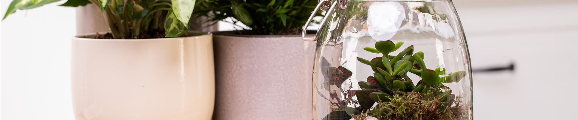 GS606054.jpg GS606054.jpg