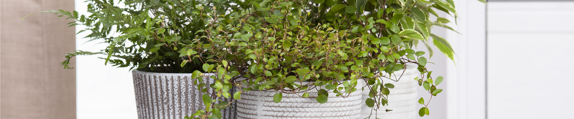 GS585481.jpg GS585481.jpg