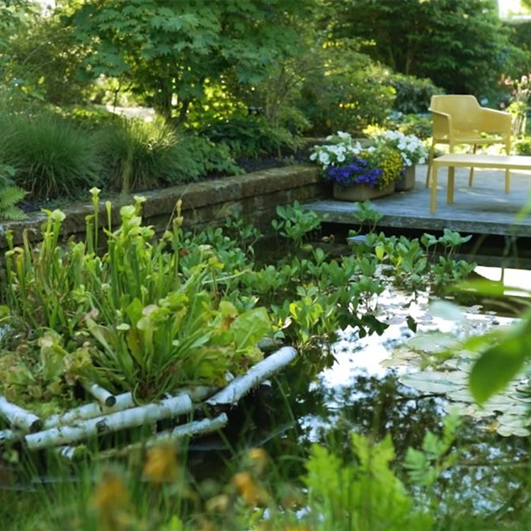 Gartengestaltung - Waldgarten Gartengestaltung - Waldgarten