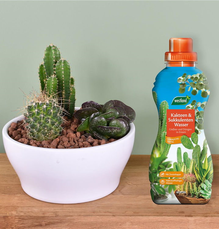 gurken welcher dnger Purgrn Bio-Gurkendnger 1 Liter