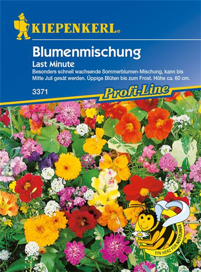 Blumenmischung 'Last Minute'