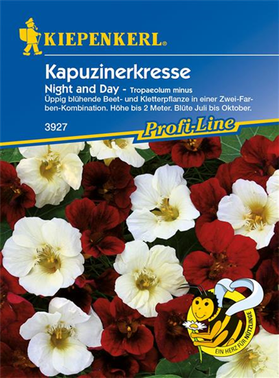 Kleine Kapuzinerkresse 'Night and Day'