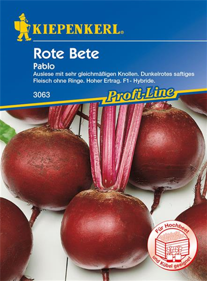 Rote Rübe 'Pablo'