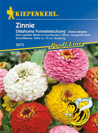 Garten-Zinnie 'Oklahoma-Formelmix'