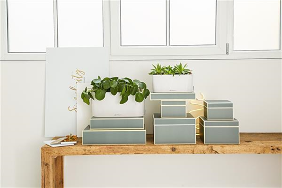 LECHUZA DELTA Premium 10  LECHUZA DELTA Premium 10