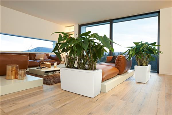 LECHUZA CARARO Premium