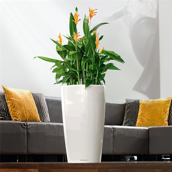 LECHUZA RONDO Premium 40  LECHUZA RONDO Premium 40