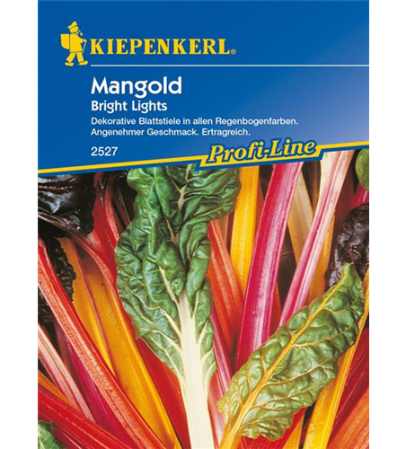 Blatt-Mangold 'Bright Lights'