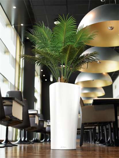 LECHUZA DELTA Premium 40 