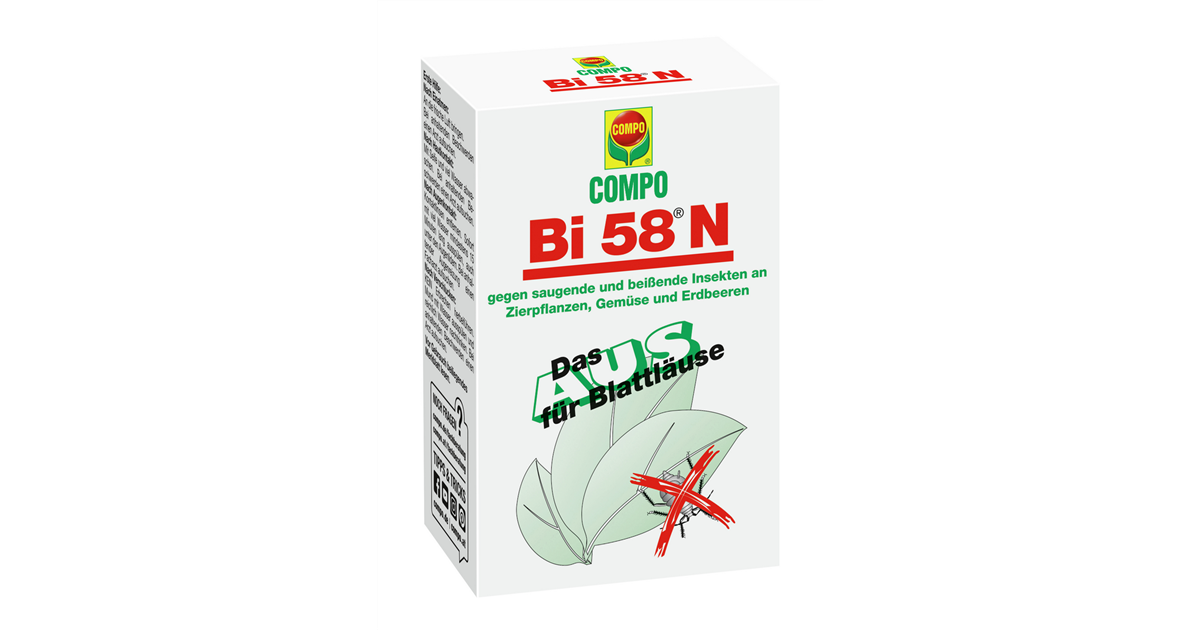 sprossenbrokkoli saatgut Bio Brokkolisprossen Samen 20g kaufen ➤ Bio-zertifiziert