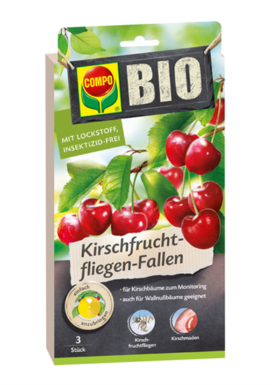 Compo BIO Kirschfruchtfliegen-Falle 