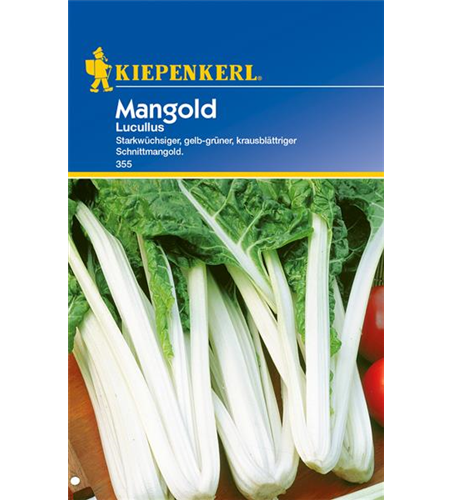 Blatt-Mangold 'Lucullus'