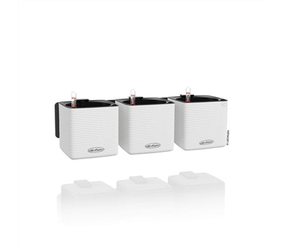 LECHUZA Green Wall Home Kit Color LECHUZA Green Wall Home Kit Color