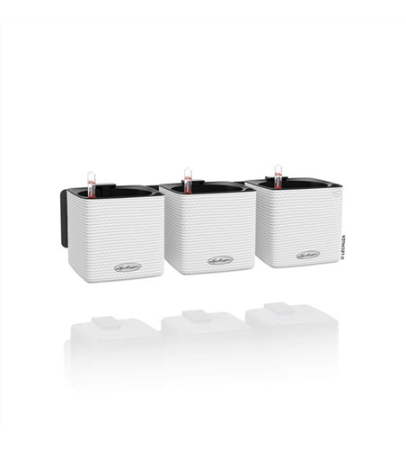 LECHUZA Green Wall Home Kit Color