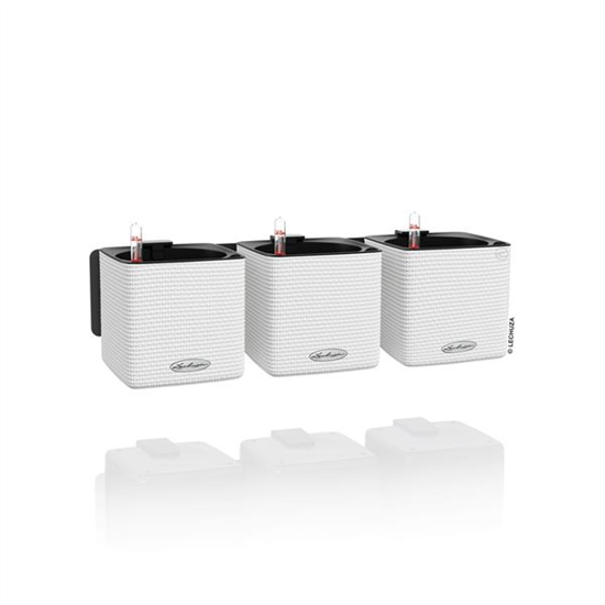 LECHUZA Green Wall Home Kit Color