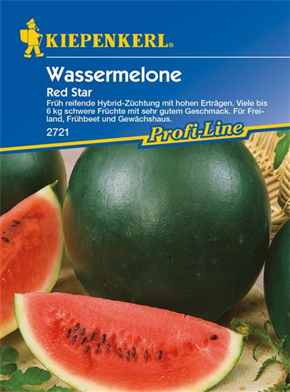 Wassermelone 'Red Star'
