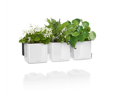 LECHUZA Green Wall Home Kit Glossy  LECHUZA Green Wall Home Kit Glossy